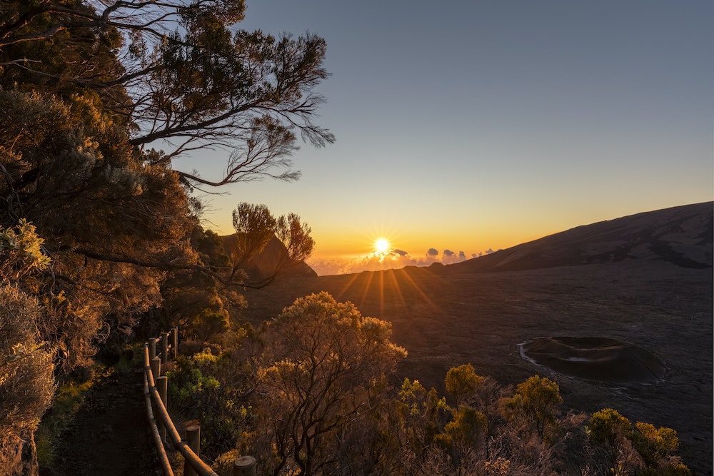 Investir dans l'immobilier à La Réunion : un marché dynamique et attractif