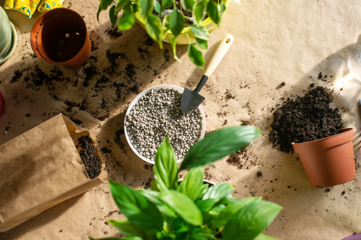 Humidité dans le logement : causes et traitements à adopter