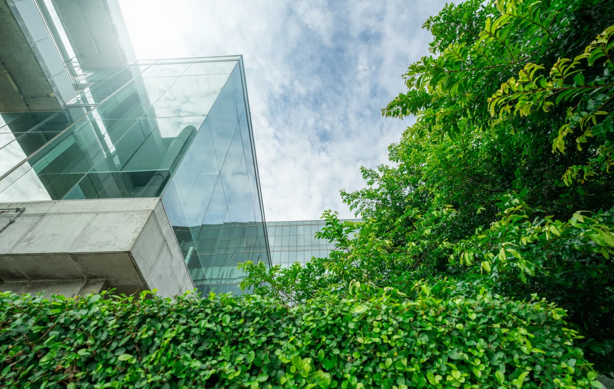 Rénovation et écologie : vers des bâtiments plus verts