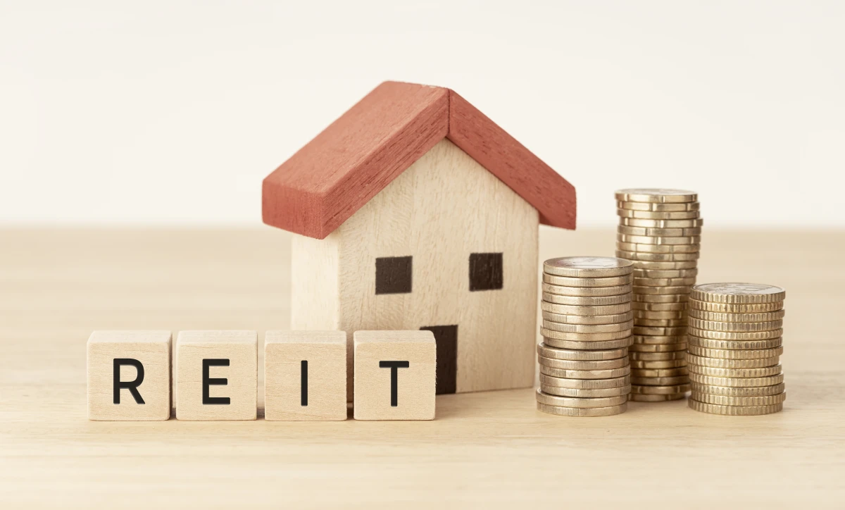 Optimisez votre patrimoine : Les secrets des dispositifs fiscaux pour investir dans l'immobilier